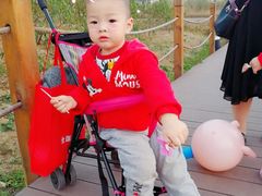 -田园东方蜜桃村的田野营地