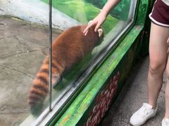 -常州淹城野生动物世界