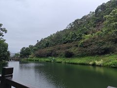 -桃花岭景区