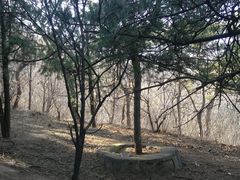 -北京鹫峰国家森林公园