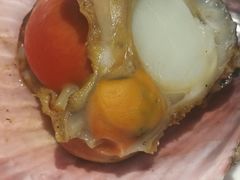 焗扇贝-小科自助海鲜烧肉(高区店)