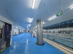 -北京科技大学-游泳馆
