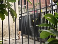 -猫岛主趣味餐厅(鼓浪屿店)