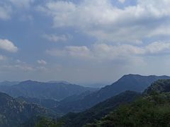 -大岭沟猕猴桃谷风景区