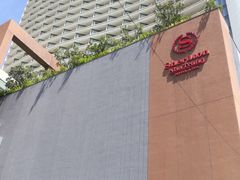 -芽庄喜来登水疗酒店