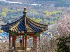 -香山公园