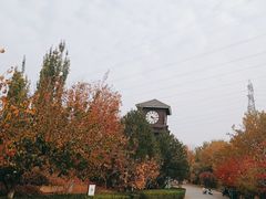 -永定河休闲森林公园