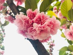 -西安市长乐公园