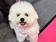 -郑州国际会展中心