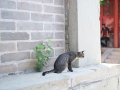 -宣南文化博物馆