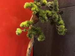 -见康道莱•足浴按摩•艾灸•SPA(友谊店)