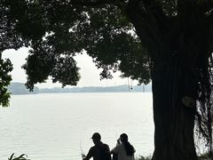 -海珠湖公园