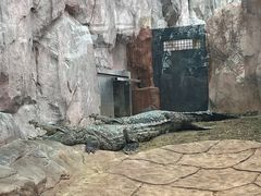 -武汉动物园