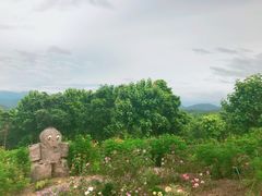 -黄色小屋