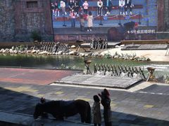 -合肥融创乐园