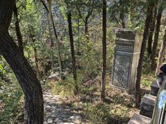 -阳台山自然风景区