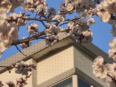 -江南大学(蠡湖校区)