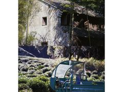 -龙坞茶村