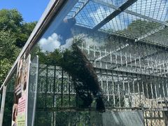 -哈尔滨北方森林动物园
