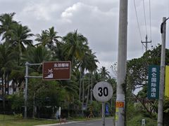 -东郊椰林
