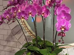 -黔香阁·味(花木店)