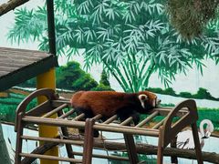 -西霞口神雕山野生动物世界