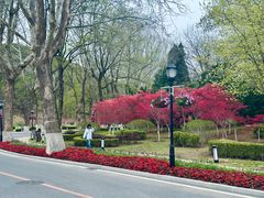 -棒棰岛宾馆景区