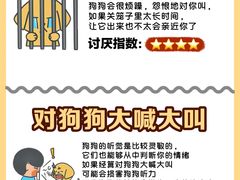 -立德动物医院·24小时中心(番禺区院区)