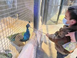 -酷嗒动物文化乐园(cutezoo西溪乐天城店)