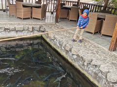 -京北渔家傲