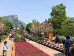 -南山植物园