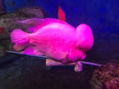 -泉州海丝野生动物世界