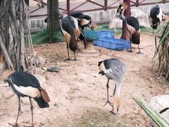 -灵玲国际马戏城