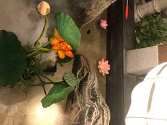 -九田家黑牛烤肉料理(无锡T12店)