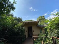 -杭州开元森泊度假乐园