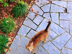 -西郊宾馆-地面停车场