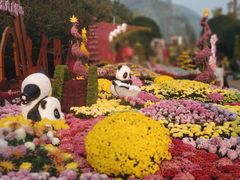-南山植物园