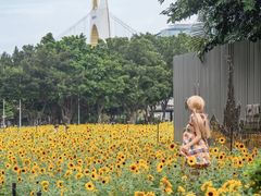 -海心沙亚运公园
