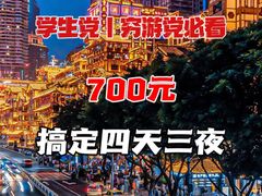 -味子夫鸡柳(解放碑总店)