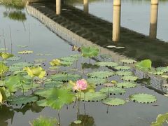 -玄武湖景区-情侣园游乐场