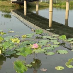 -玄武湖景区-情侣园游乐场