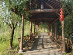 -长兴太湖图影湿地文化园