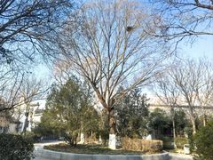 -济南国际园博园