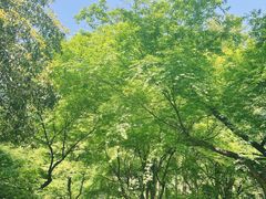 -杭州植物园