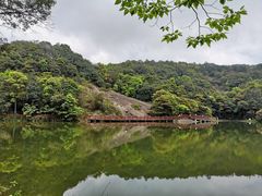 -广州市石门国家森林公园