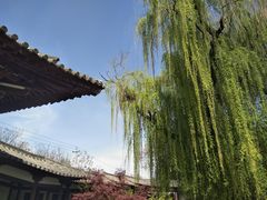 -西安青龙寺遗址景区