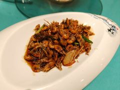 -西塘人家•黑金冠本地好店