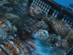 -海立阁海鲜江浙菜(漕河泾印象城店)