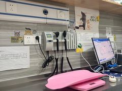 -瑞派名望志远动物医院·猫科·內科·异宠专科(直港大道店)