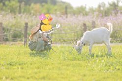 -DORA kids 朵拉儿童摄影花园店